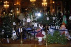 2007 - Les Sapins d'Action Innocence Monaco