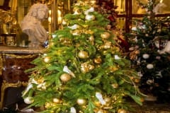 2017 - Les Sapins d'Action Innocence Monaco